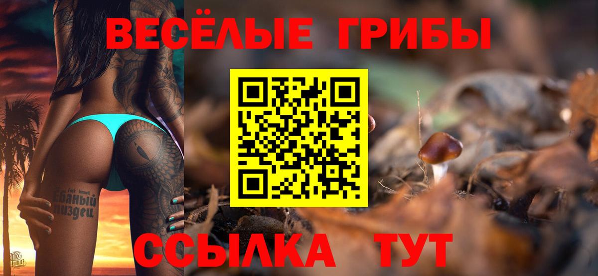 Галлюциногенные грибы Psilocybe Губаха